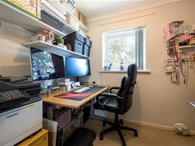 Picture 7